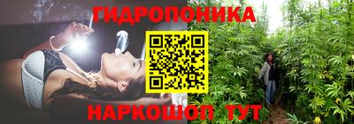 бошки Вязники