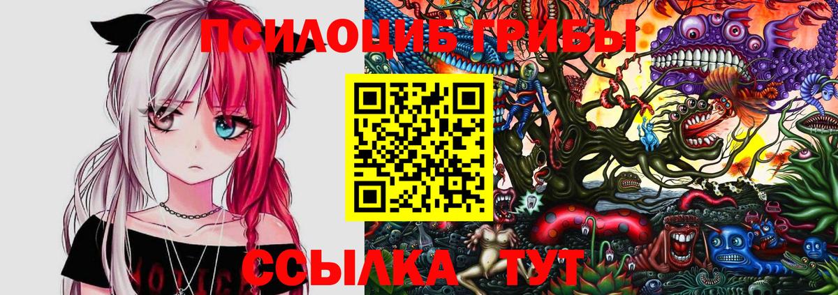 Тосно  Псилоцибиновые грибы Psilocybe  Вход с VPN 