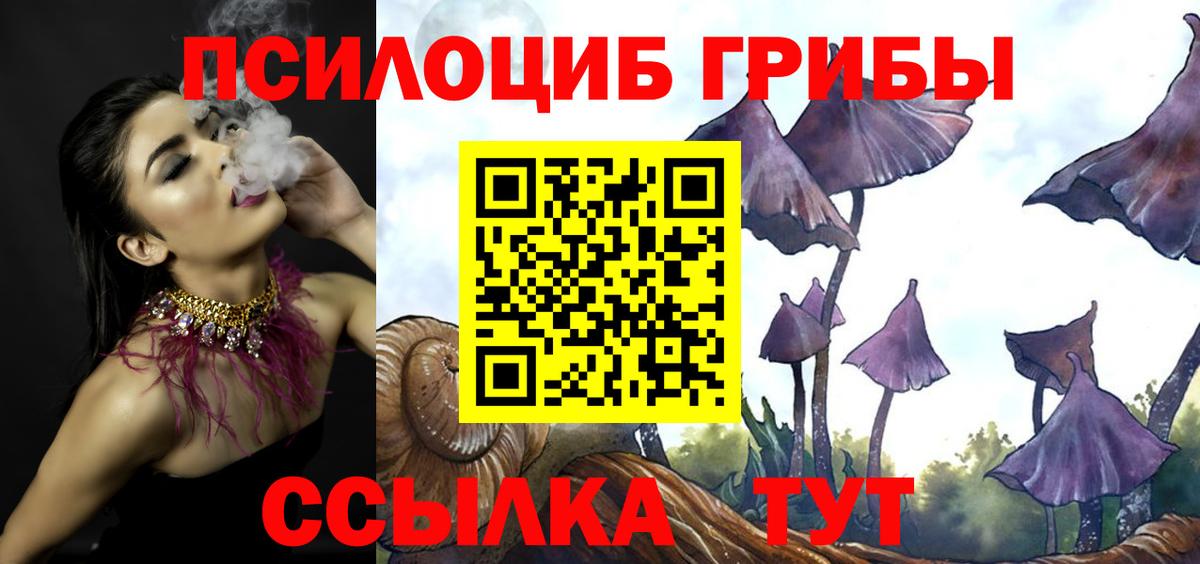 Галлюциногенные грибы прущие грибы Тосно